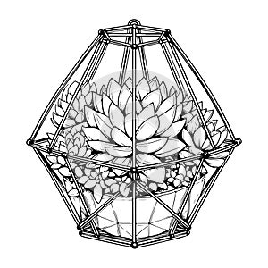 Hanging geometric terrarium with a single succulent